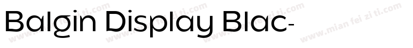Balgin Display Blac字体转换